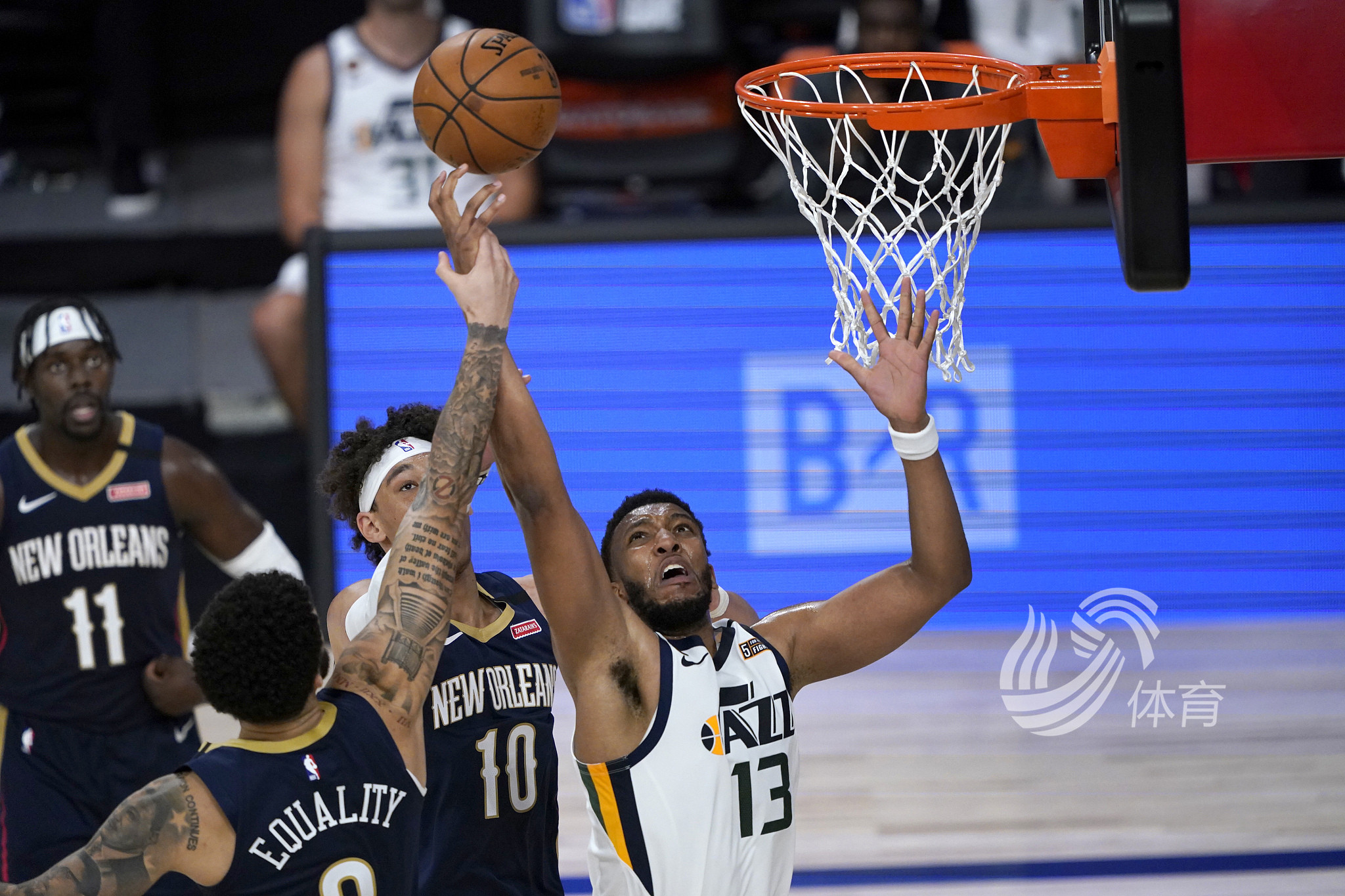 轮观众人数 轮观众人数