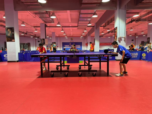 涅斯塔皆是 涅斯塔皆是