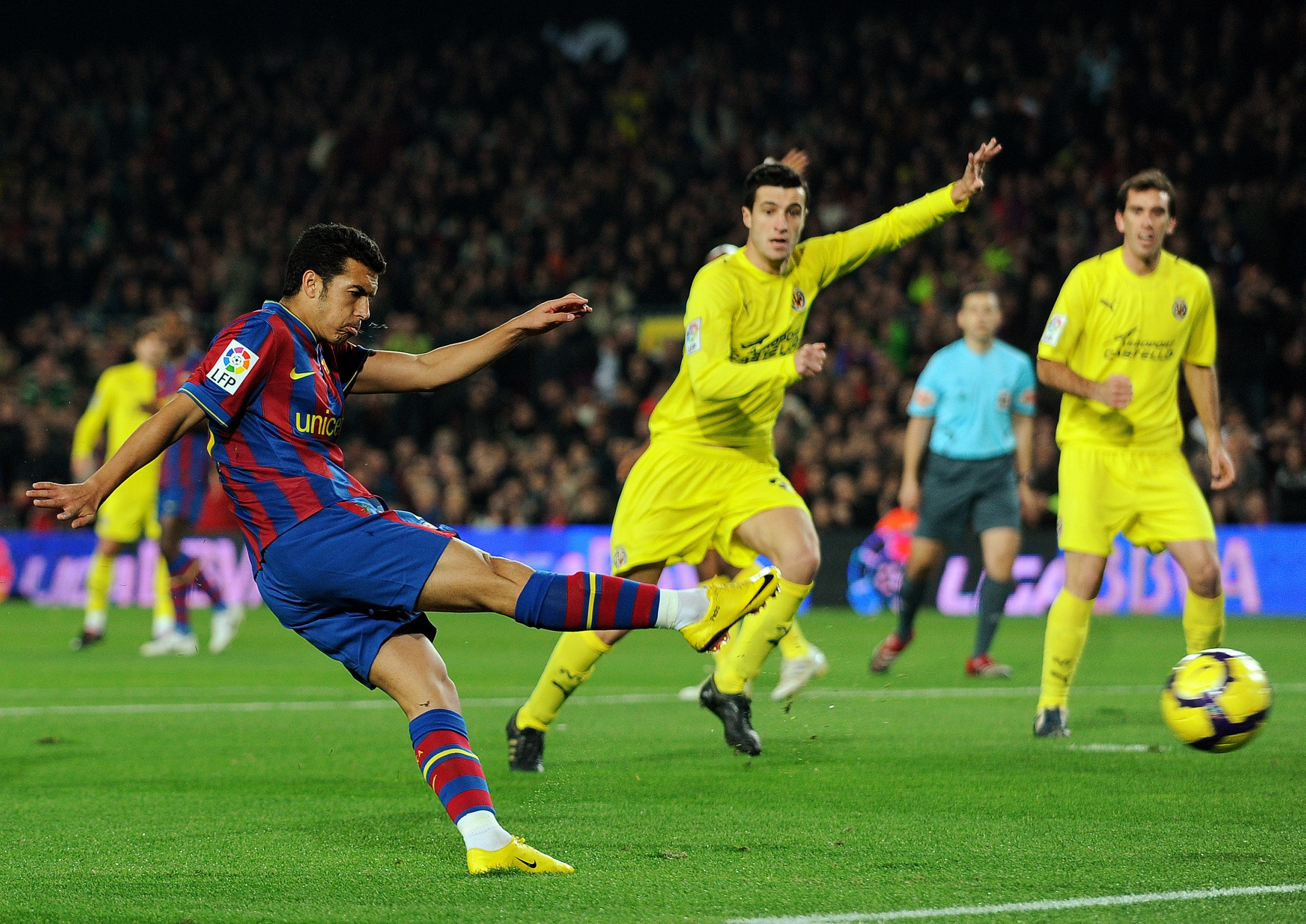 顽强的意志 顽强的意志